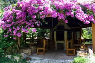 Apartmani Park - Sveti Filip i Jakov - 5