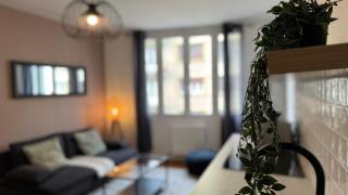 Le Charme de Champagne - Proche Centre - Spacieux 3 chambres - Troyes - 5