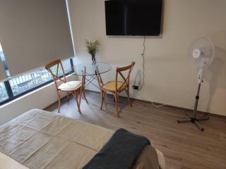 Centro Sweet Spot Studio for Two - Santiago - 5