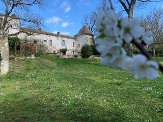 Luxury Gîte - L'Ancien Chai - Eymet - 8