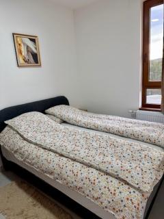 Gizdav apartman - Divčibare - 6