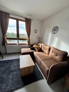 Gizdav apartman - Divčibare - 9