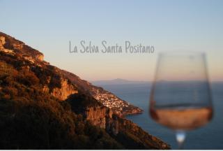 B&B La Selva Santa - Positano - 8