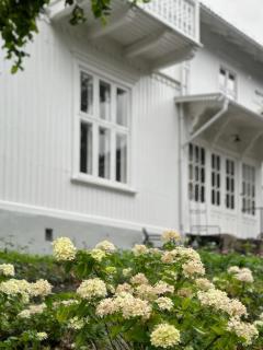 Extravagant villa central & by the sea - Oslo - 4