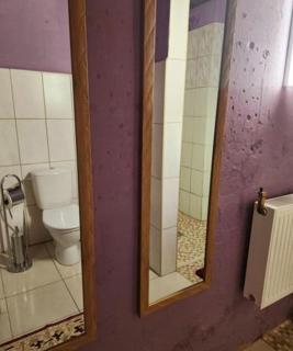 Salų dvaro kultūros ir laisvalaikio rezidencija - 6