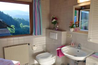 Ferienwohnung Auszeit -Gipfhof- - 1