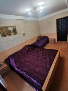 Просторі апартаменти на ВДНГ - 8