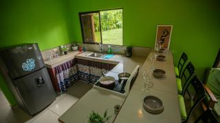 Green leaf house - 9
