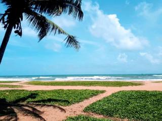 Mbeach Nest - Panadura - 8