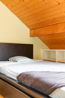Swiss Natural Villa - Crassier - 8
