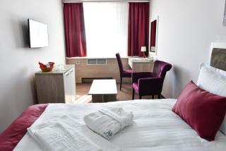 Hotel Ana Lux Spa - Pirot - 2