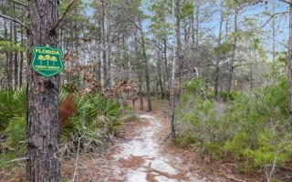 Bluebird Beach House by Oversee 30A - Santa Rosa Beach - 2