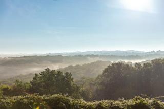 Camping Le Mas de Sireuil - 3