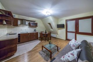Apart4You Apartament Meteor - Zakopane - 5