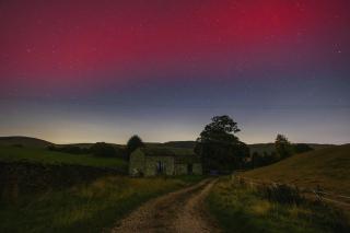 Bumble Cottage in Sedbergh - 4