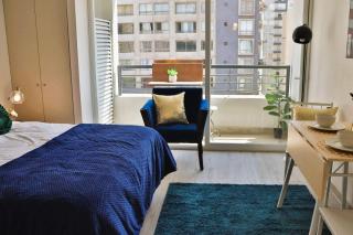 HOM Exquisito y comodo Depto 1D1B 2PAX Santiago - Santiago - 9