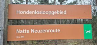 Het Veluwse Boshuisje Hond welkom in Hoenderloo - 4