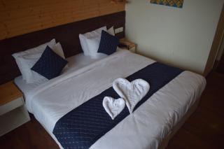 Elements Boutique Hotel - Gangtok - 0