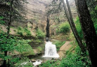 Gite Saint Guiral en pleine nature - Dourbies - 7