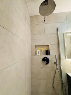 Beautiful Apartment near Geneva - Saint-Julien-en-Genevois - 4