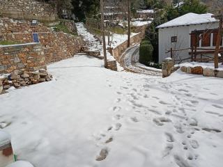 Το παραδοσιακό - Vyzitsa - 9