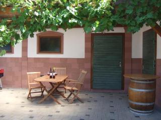 Weingut Ringwald - Herbolzheim - 9