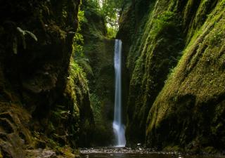 The Dalles Inn - The Dalles - 7