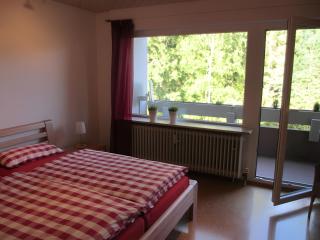 Ferienwohnung Brasil, 76 Qm - Schonach - 7