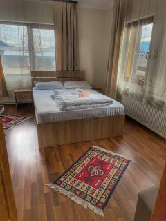 Casa Vădeanu - Sighetu Marmaţiei - 9