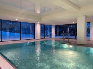 Fewo Lieblingsplatz mit Indoor Pool - Schluchsee - 7