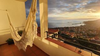 Murteiras Living - Funchal - 4