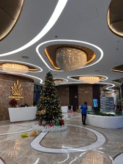 Căn hộ cao cấp Diamond crown - 8