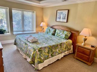 Sensational Sea Pines South Beach 4 bed 2 ba Villa - Hilton Head Island - 1
