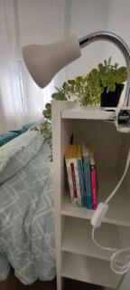 La Estrella Del Carmelo - 1