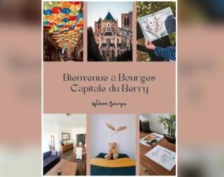 Lumineux & Convivial - Bourges - 9