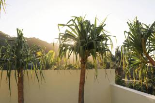 The Sirens of Wategos - Luxe Holiday Escape - Byron Bay - 0