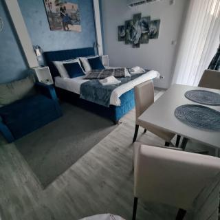 Apartman Plava nota - Vrnjačka Banja - 1