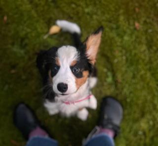 Relaxing Farm Retreat- Fresh Eggs with Every Stay! - 6