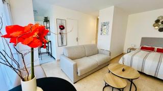 Magnifique studio le France - Mandelieu La Napoule - 7