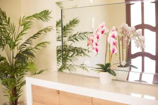 Casa Terra da Vinha - 7