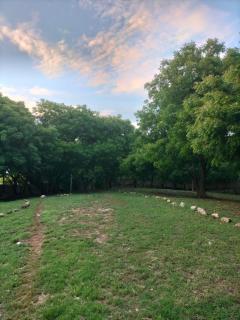 Tabasamu Gardens, Backpackers Paradise - 3