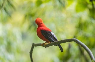 habitación campestre para pareja LAVANDA - 9