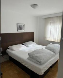 Zum Griechen Restaurant und Pension - Forchtenberg - 6