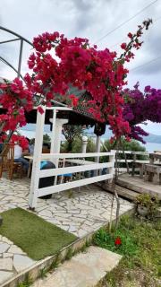 Mermaid Hotel Vlore - Vlorë - 2