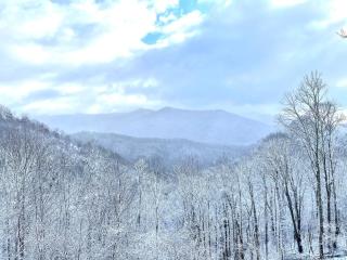 Native Winds Luxury Cabin Rental - Bryson City - 8