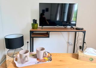 Grand studio parking-bord de Loire- hyper centre - Orléans - 1