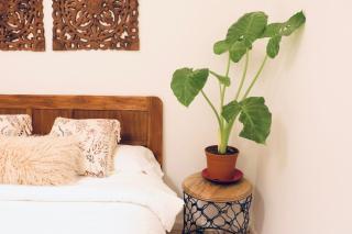 Harmony rooms - Barcelone - 2