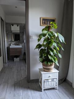 House with pool in Alpilles - 6
