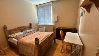 Spacious Room in Central London - Londra - 9