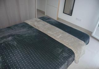 Appartement T2 cosy à colomiers - Colomiers - 1